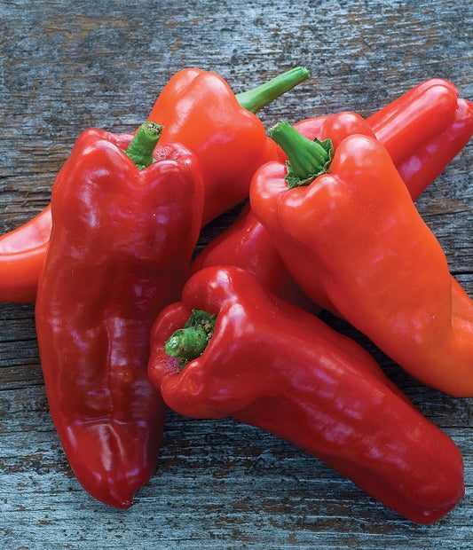 Sweet Pepper Monanta