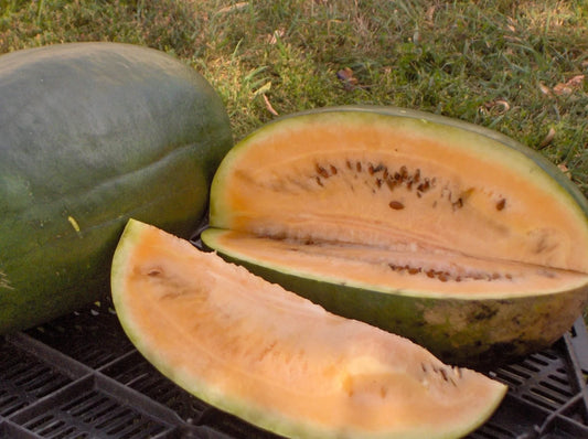 Sweet Siberian Watermelon