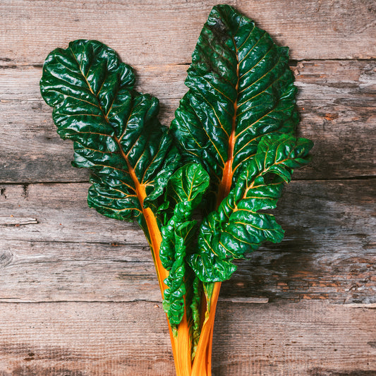 Swiss chard 'Orange glory'