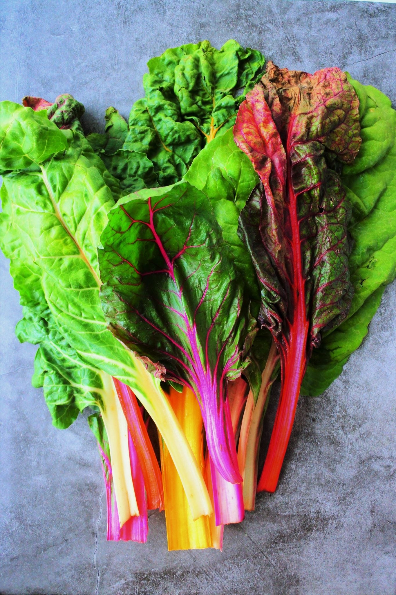 Swiss chard 'Rainbow' mix
