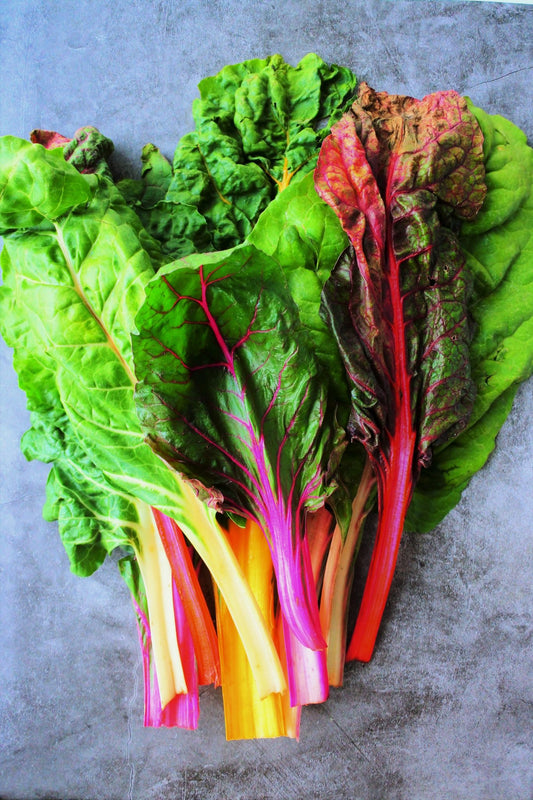 Swiss chard 'Rainbow' mix