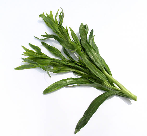 الطرخون