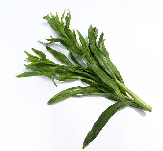 Tarragon