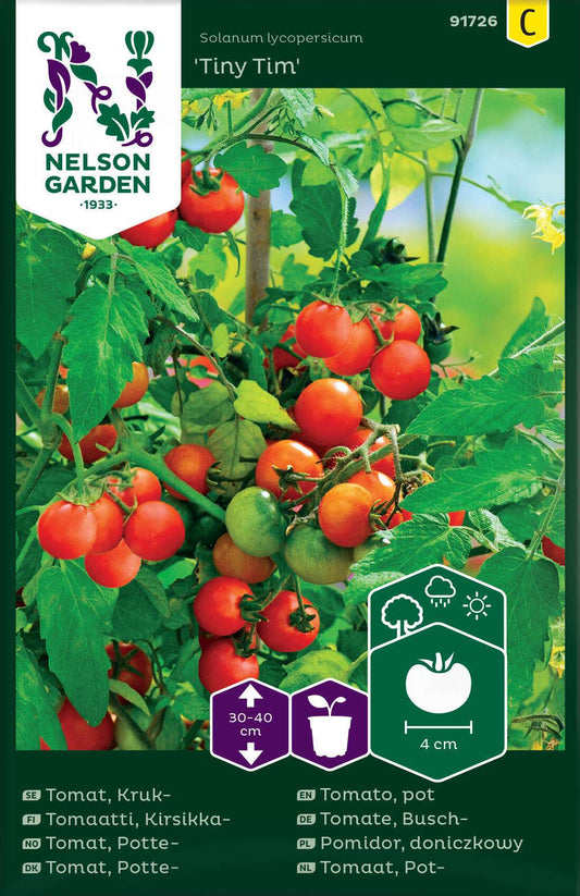 Tiny Tim Tomato