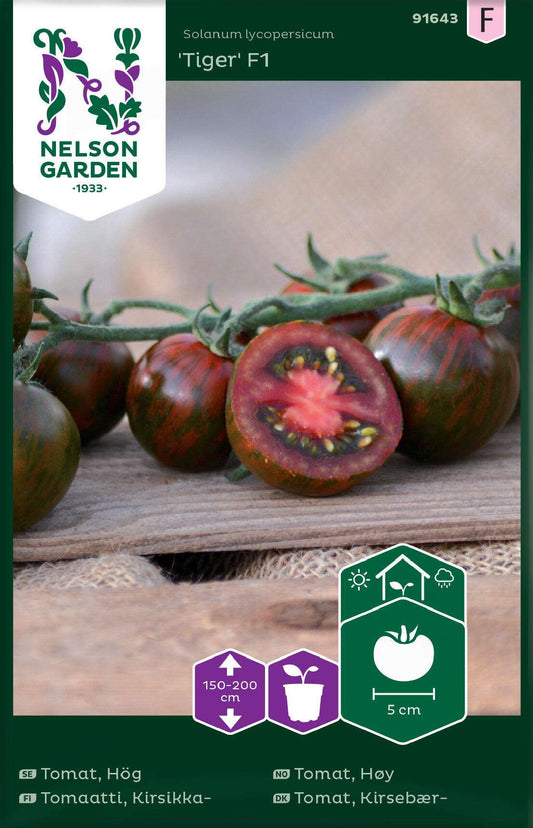 Tomato cordon tiger