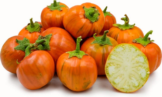 الباذنجان التركي البرتقالي التقليدي