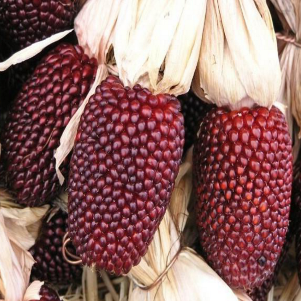 Strawberry Corn