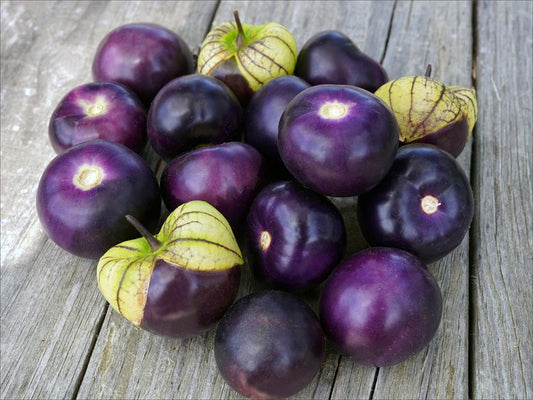 Purple Tomatillos