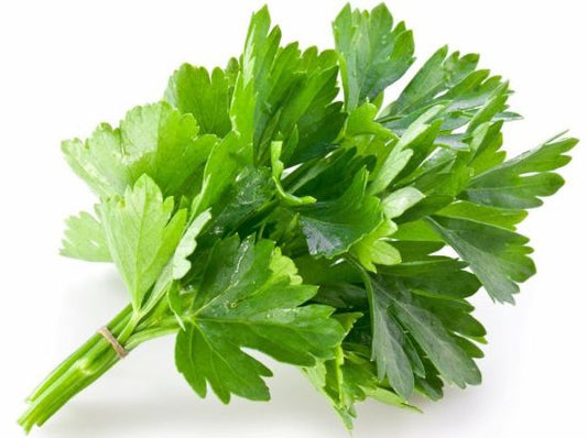 Parsley