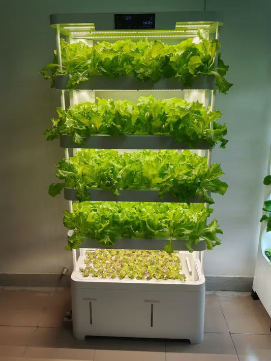 5 Layers 157 Pots Vertical Hydroponic System V2