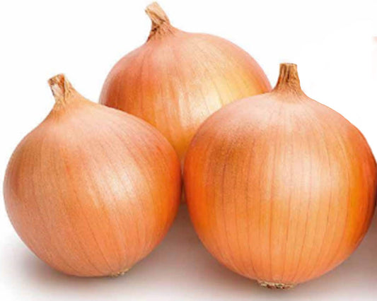 Brown Onion