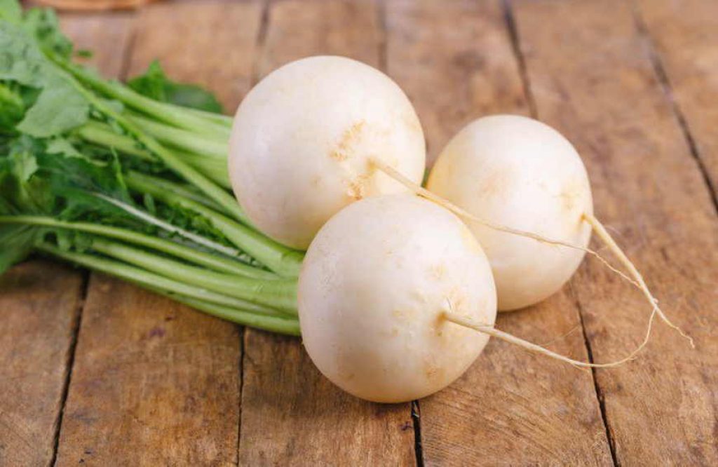 White Radish 'Albina'