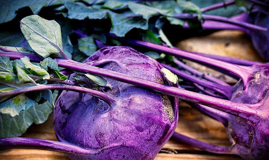 Kohlrabi Purple Leaves