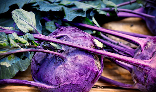 Kohlrabi Lila Blätter