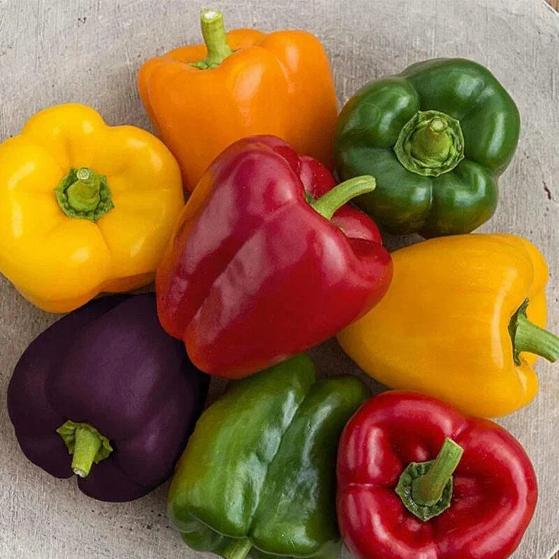 Sweet pepper bell mix