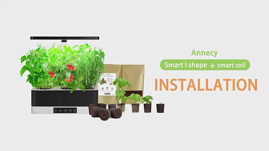 6 Pots Hydroponic Smart System