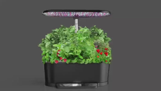 15 Pots Smart Hydroponic System