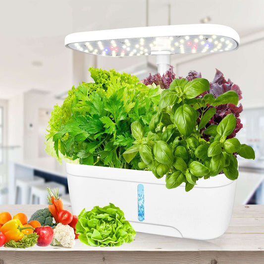 12 Pots Smart Hydroponic System