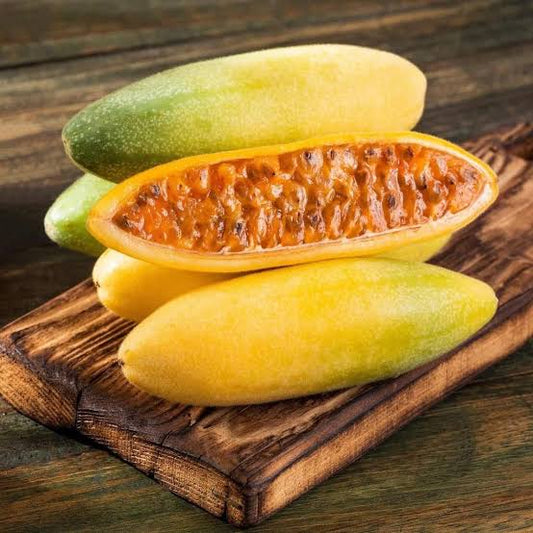Banana Passion Fruit - Passiflora tarminiana