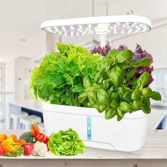 12 Pots Smart Hydroponic System