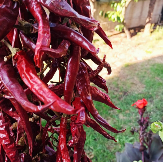 Red Chili Pepper